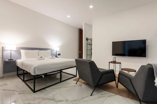 Lush Loft in Polanco