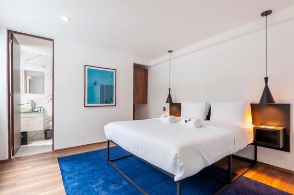 Picturesque 1BR in Polanco