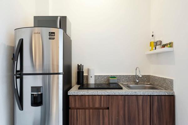 Lush Loft in Polanco