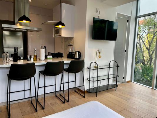 Splendid Loft w/ Perfect View in Roma Norte