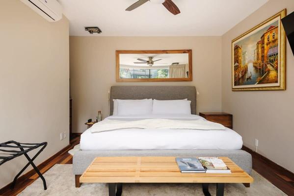 Amazing 4BR House in Condesa
