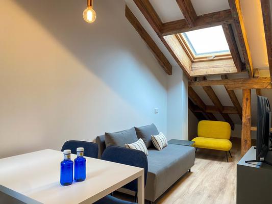 Spectacular 2BR at Palacio Real