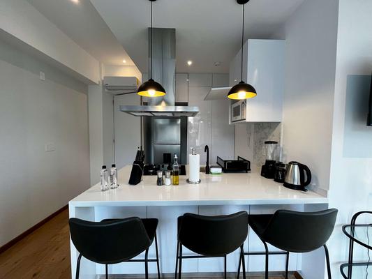 Splendid Loft w/ Perfect View in Roma Norte