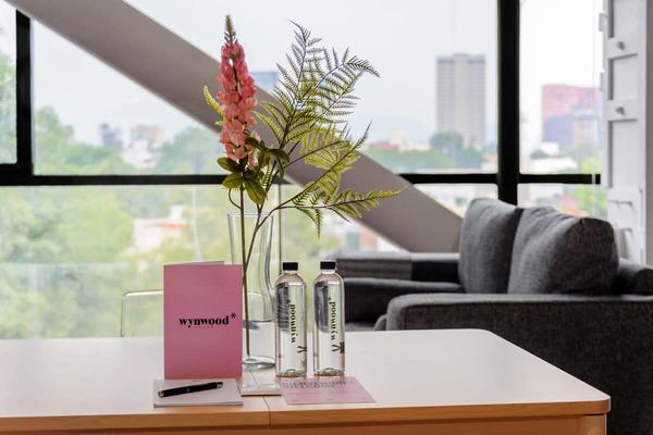 Comfy Loft near Polanco
