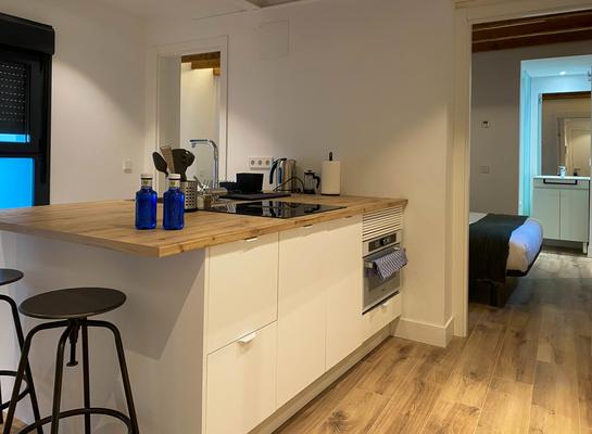 Spacious 2BR at Palacio Real