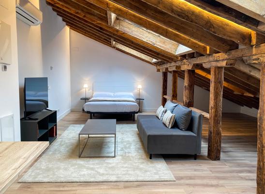 Splendid Loft at Palacio Real